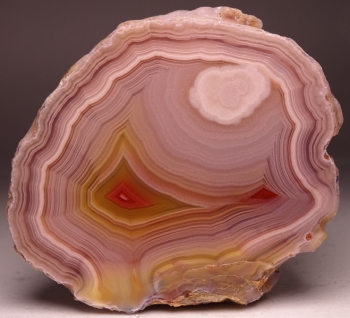 Laguna Agate from Rancho Ojo Laguna, Chihuahua, Mexico [db_pics/pics/batch_300DSC02647.jpg]