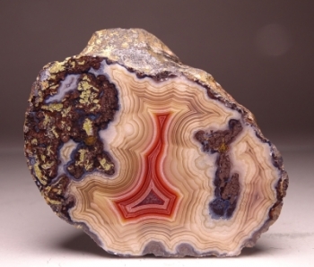 Laguna Agate from Rancho Ojo Laguna, Chihuahua, Mexico [db_pics/pics/batch_300DSC03025.jpg]