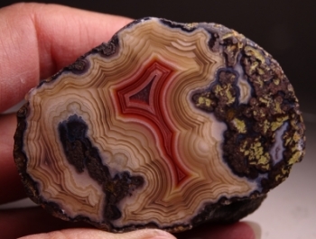 Laguna Agate from Rancho Ojo Laguna, Chihuahua, Mexico [db_pics/pics/batch_300DSC03030.jpg]