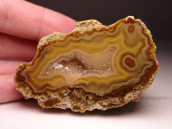 Laguna Agate from Rancho Ojo Laguna, Chihuahua, Mexico [db_pics/pics/batch_300DSC03034.jpg]